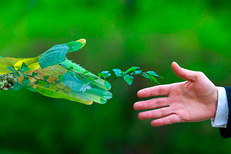 BiOHY all-purpose cleaner, all-purpose cleaner, universal cleaner, organic concentrate